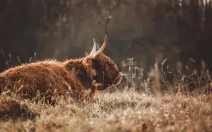 Jak Vyhledat Osobu Na Facebooku Podle Telefonního Čísla